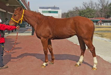 ��ϴ�� ����