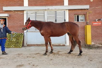 ������Ʈ ����