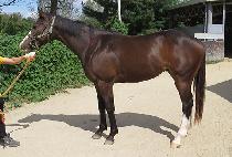 ����ǳ (GANGTAEPUNG) ����