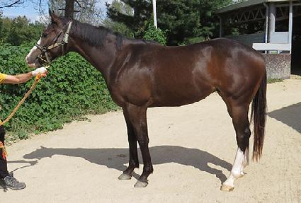 ����ǳ ����