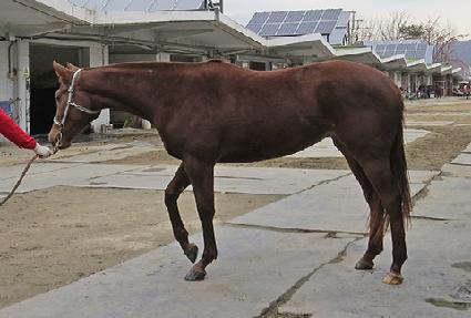 �η����� ����