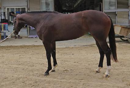 �̽����̿� ����