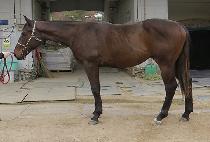 ���а��� (MOONHAK GUY) ����