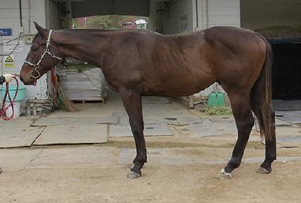 ���а��� ����