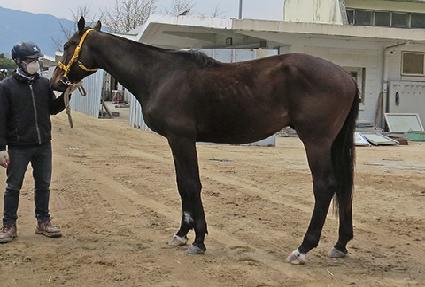 �����ķξ� ����