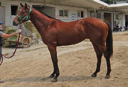 �´ϼ� ����