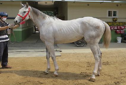 �ҹ�� ����