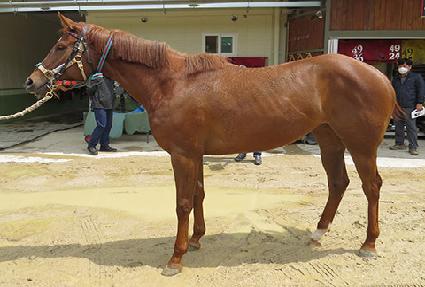 ����Ƽ�뼼 ����