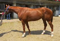 ���÷� (GOOD PLAN) ����