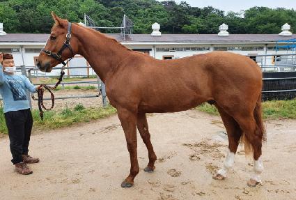 �����ν�Ÿ ����