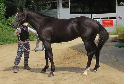 ��ġ����Ʈ ����