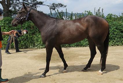 ��ġ���� ����