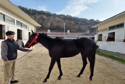 ��ƺ����� ����