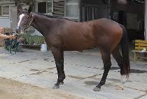 ���򿩿� (HAMPYEONG YEOWANG) ����