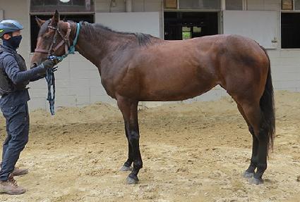 ��������� ����