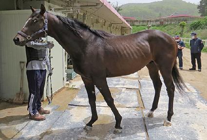 �ǿ��������� ����