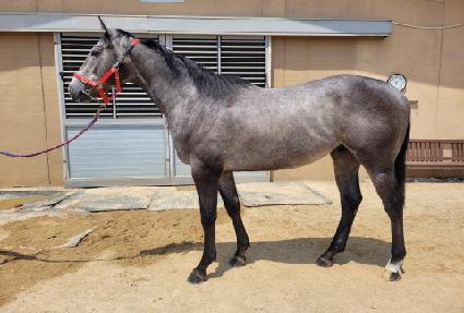 ȭ������Ʈ ����