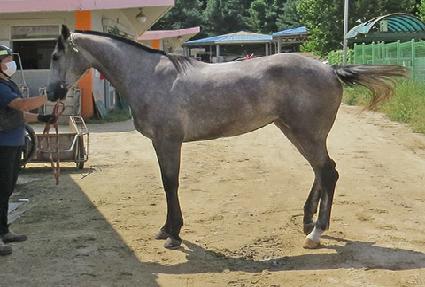 ���ڵ彺��ũ ����