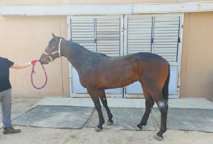 �޴��Ǽ� ����