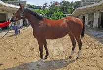 ����Ʈ�÷� (BEST PLAN) ����