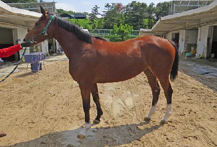 ����Ʈ�÷� ����