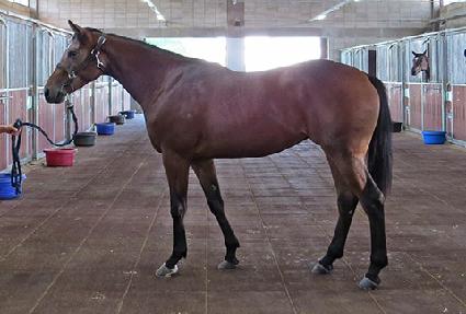 �Ŀ��÷� ����