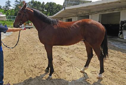 ���̽��÷� ����