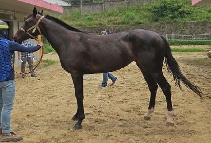 ��õ��ġ ����