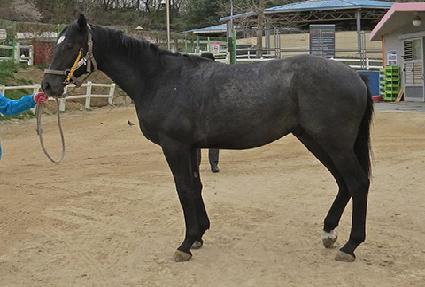 �ַ̱���Ƽ ����