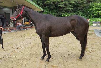 ����� ����