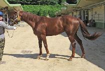 ����Ǯ���� (WONDERFUL RULES) ����