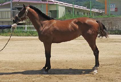 ����ǮŰƼ ����