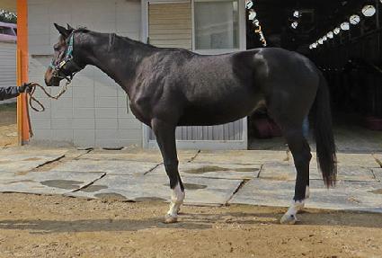 Ƽ��ٷο��� ����