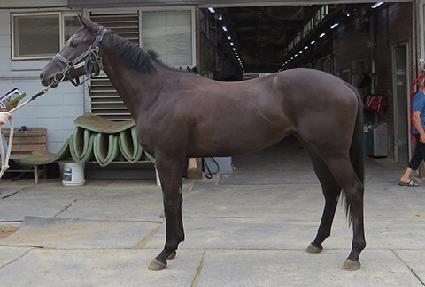 ����Ǯ�Ҷ� ����