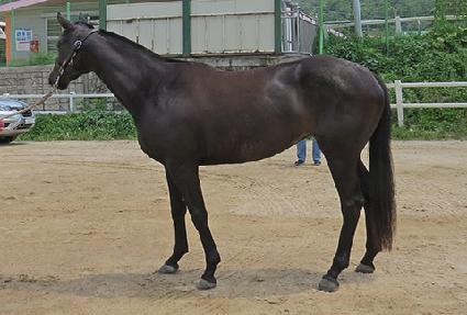 ������ġ ����