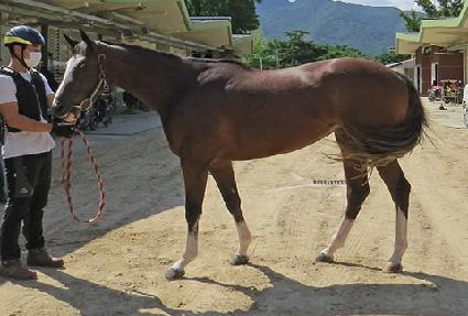 Ƽ��帲 ����