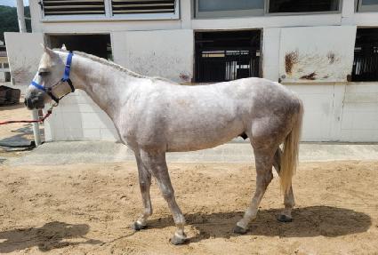 �Ѽ���õ ����