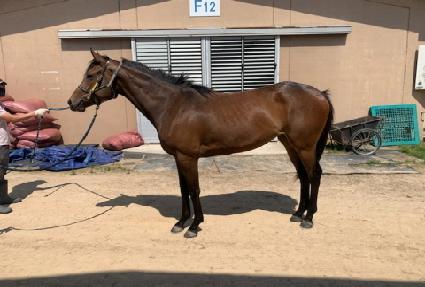 ���ۺ��丮 ����