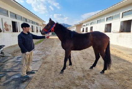 �ް����� ����