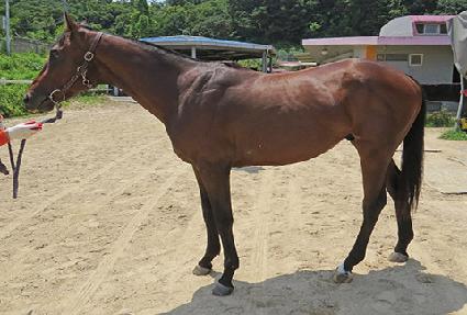 ��ȣ���� ����