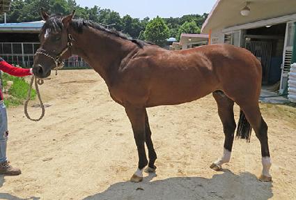 ���̿��� ����