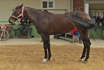 ���̺��� ����