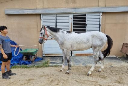 �����۽�Ʈ ����