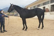 ���̳����´� (BEOMI NAERYEO ONDA) ����