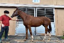 ġ���� (CHIEF ONE) ����