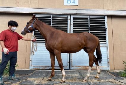 ġ���� ����