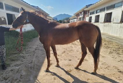 ����Ʈ���� ����