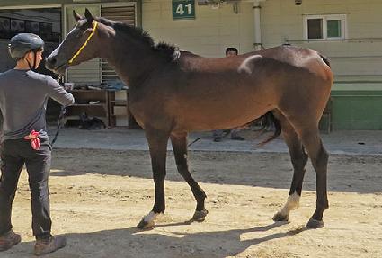 ��ġ�޸� ����