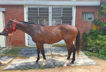 �����Ǻ� ����