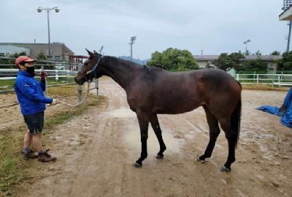 ���հ� ����